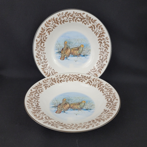 (2) WILD BIRDS Porcelain Soup Bowls - Picture 12 of 12